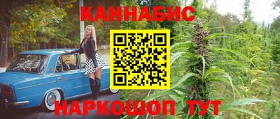 Альфа ПВП Будённовск
