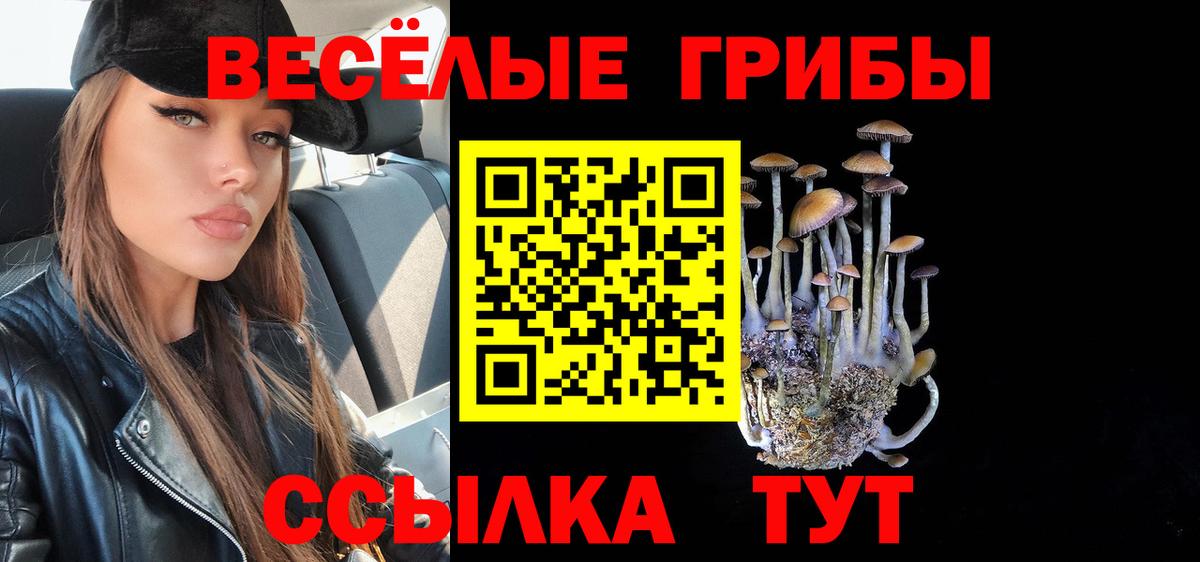 Слободской  как найти   Псилоцибиновые грибы GOLDEN TEACHER  Вход с VPN  Псилоцибиновые грибы MAGIC MUSHROOMS 
