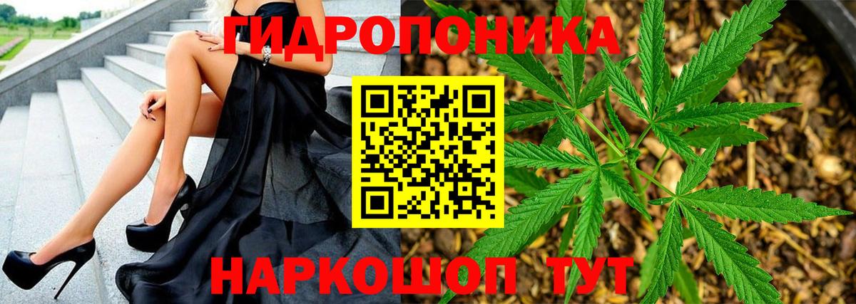 Слободской  Марихуана гибрид  Канабис семена  Бошки Шишки White Widow  Вход с VPN 